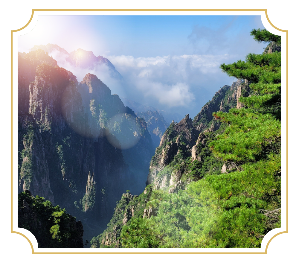 E20活动介绍PC端_画板 1 副本 9.png